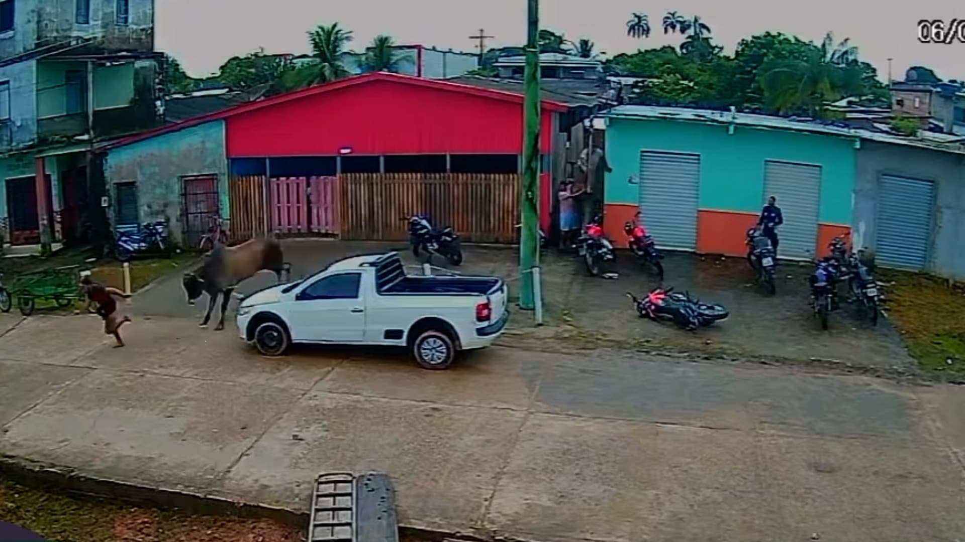 Rampaging Bull Knocks Over Motorbike And Charges After Man After He Taunts It