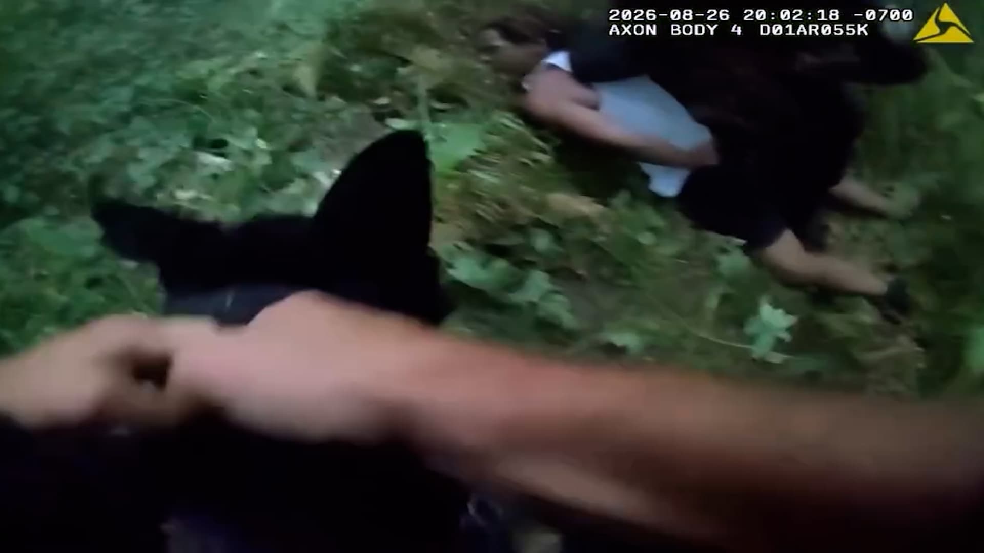 Police Dog Tracked Down Driver Who Fled Crashed Stolen Lorry