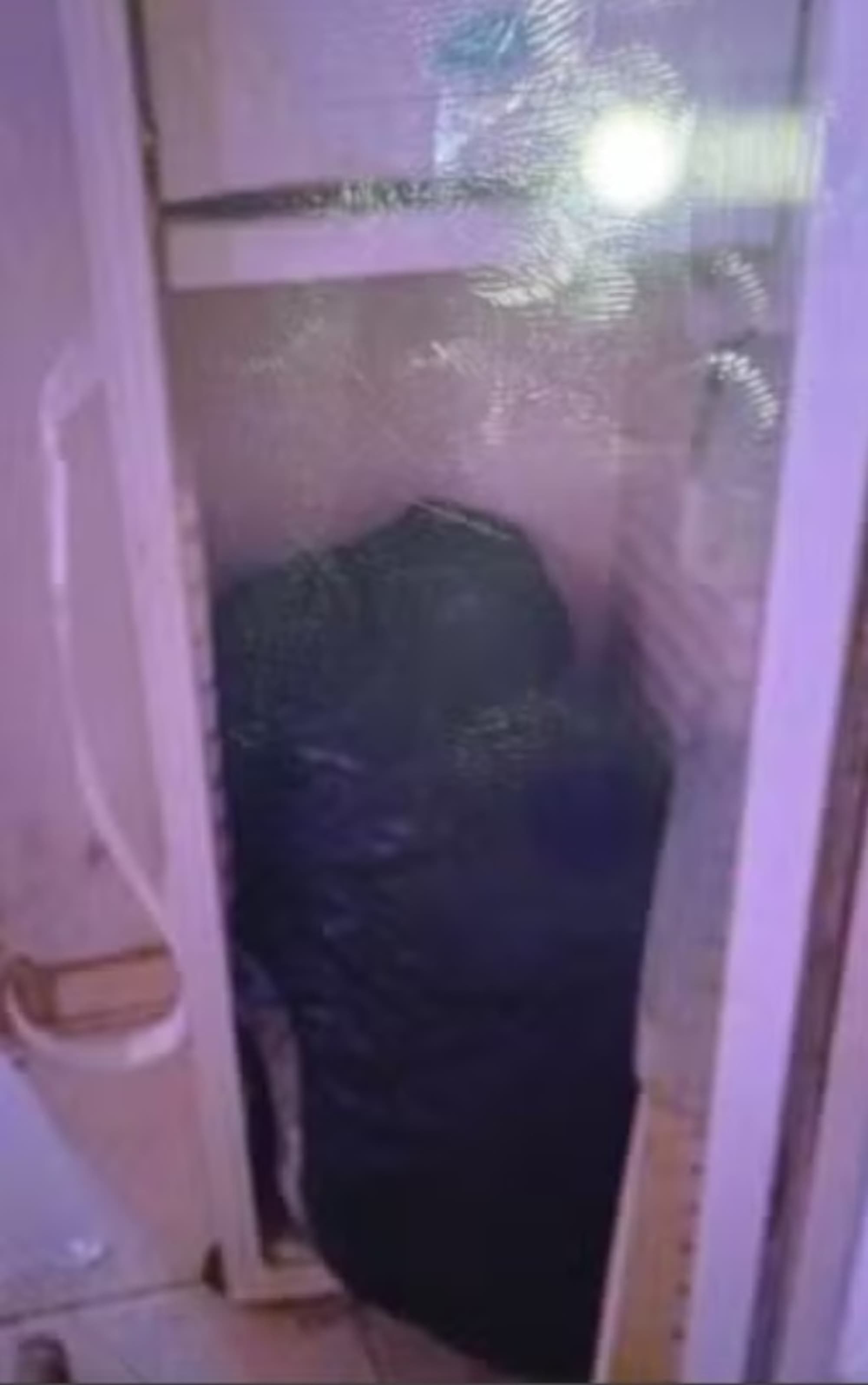 Woman Found Stabbed To Death And Stuffed In Fridge At Home Of Her Toy Boy Lover