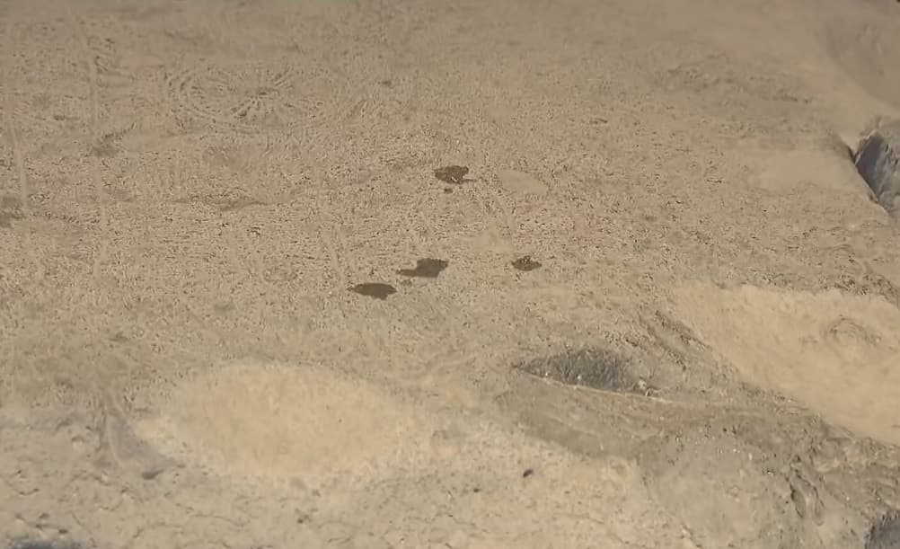 Picture shows the oil stains on the Buddhist artefact at Yakushiji Temple in Nara, Japan, undated. Note: Image is a screenshot from video. (Newsflash/NX)
