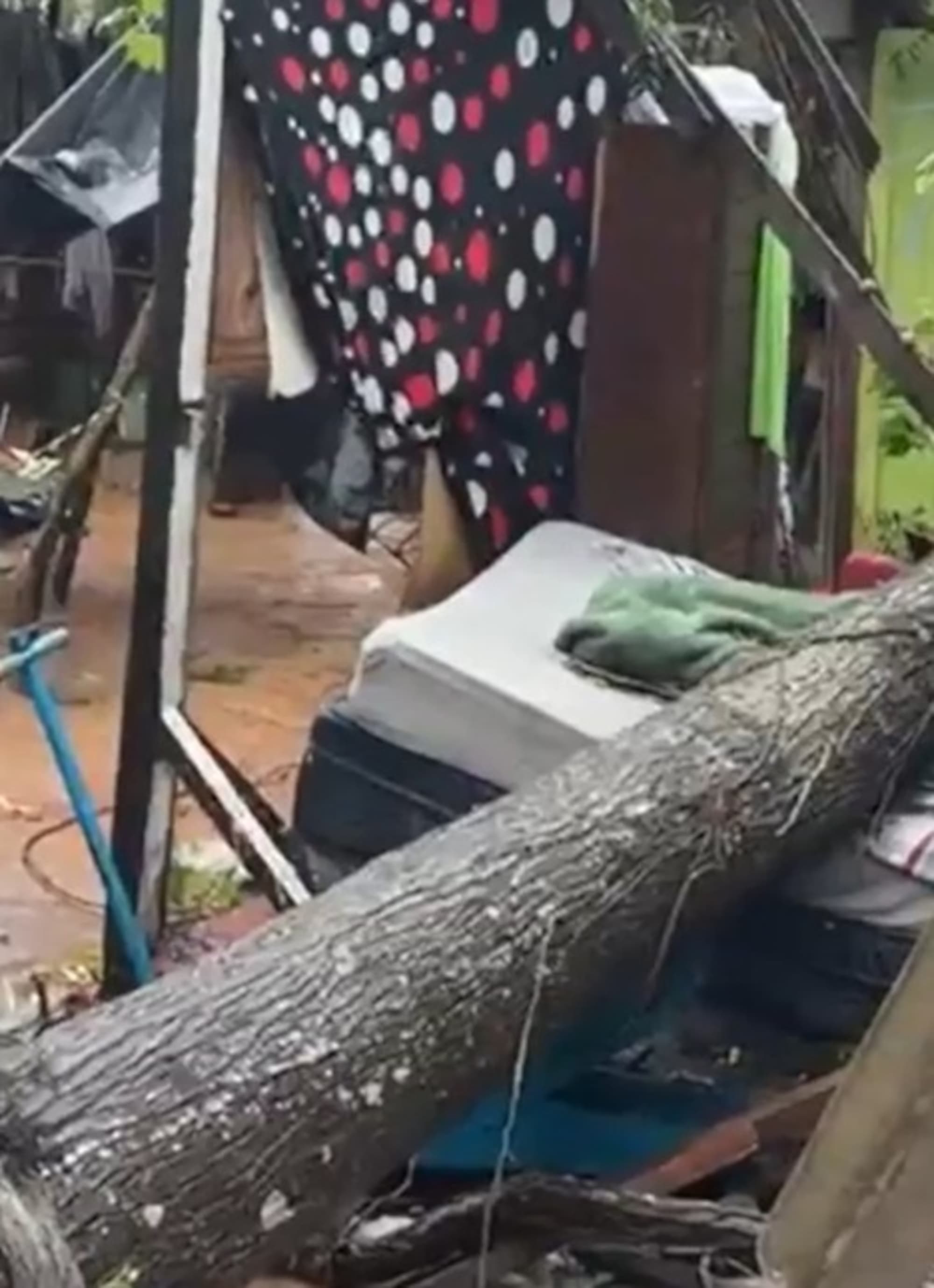Picture shows the fallen tree on the bed. Wylliam Gustavo Barboza, 8, died after a tree fell on him as he was sleeping. Note: Picture is a screenshot from video. (Newsflash/NX)