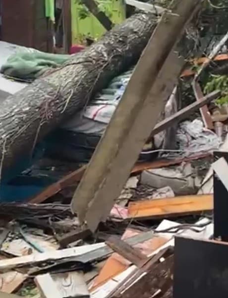 Picture shows the fallen tree on the bed. Wylliam Gustavo Barboza, 8, died after a tree fell on him as he was sleeping. Note: Picture is a screenshot from video. (Newsflash/NX)