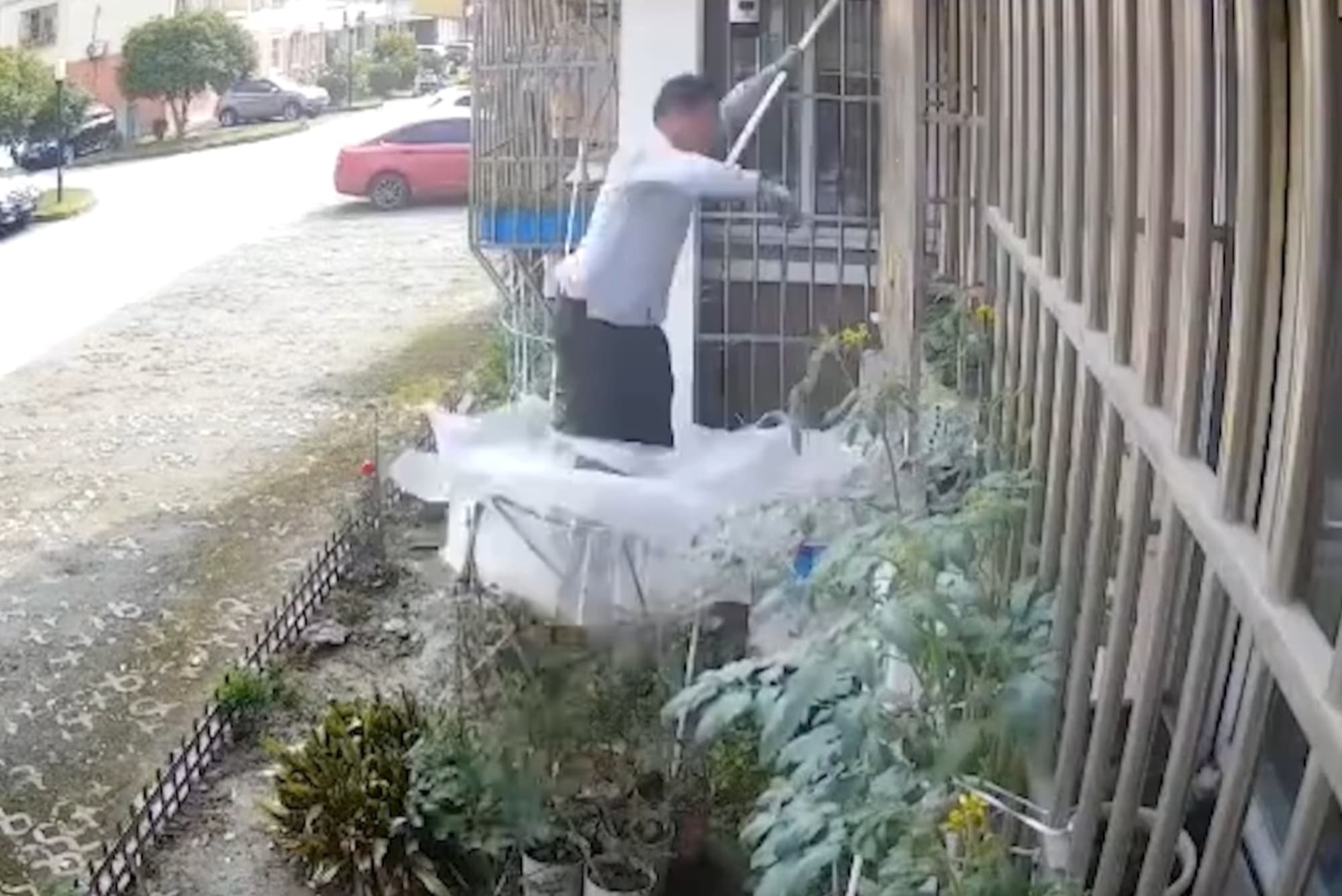 Air-Con Engineer Plunging From 2nd Floor Saved By Squashed Tomatoes In Veggie Garden
