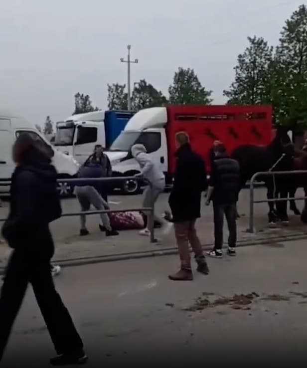 Witness drags knocked out man in May, 2026, in Pajeczno, Poland. He was kicked in the head by a horse after abusing it in the head. Note: Photo is a screenshot from a video. (Newsflash/NX)