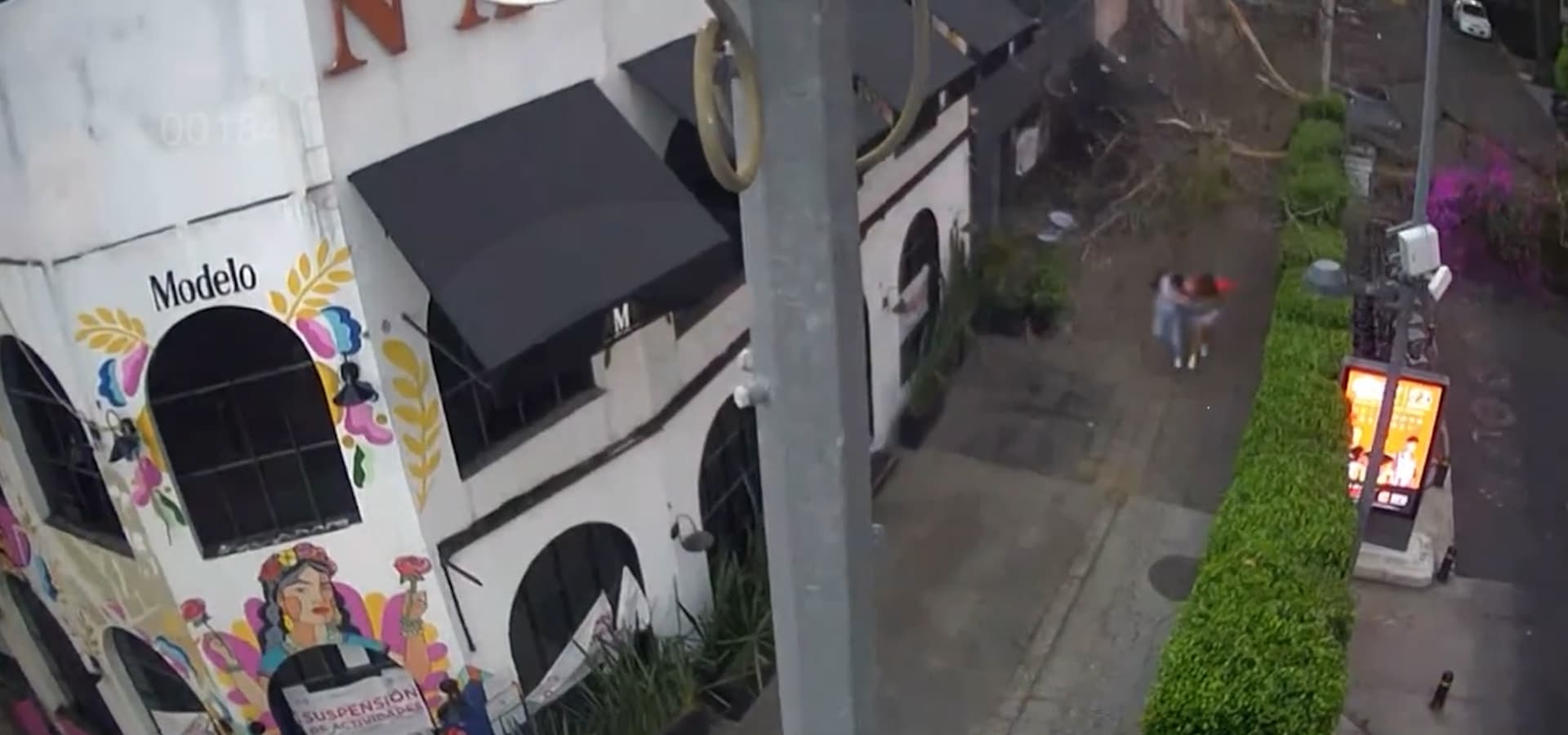 Touching Moment Couple Hug Tightly After Narrowly Escaping Falling Tree During Storm