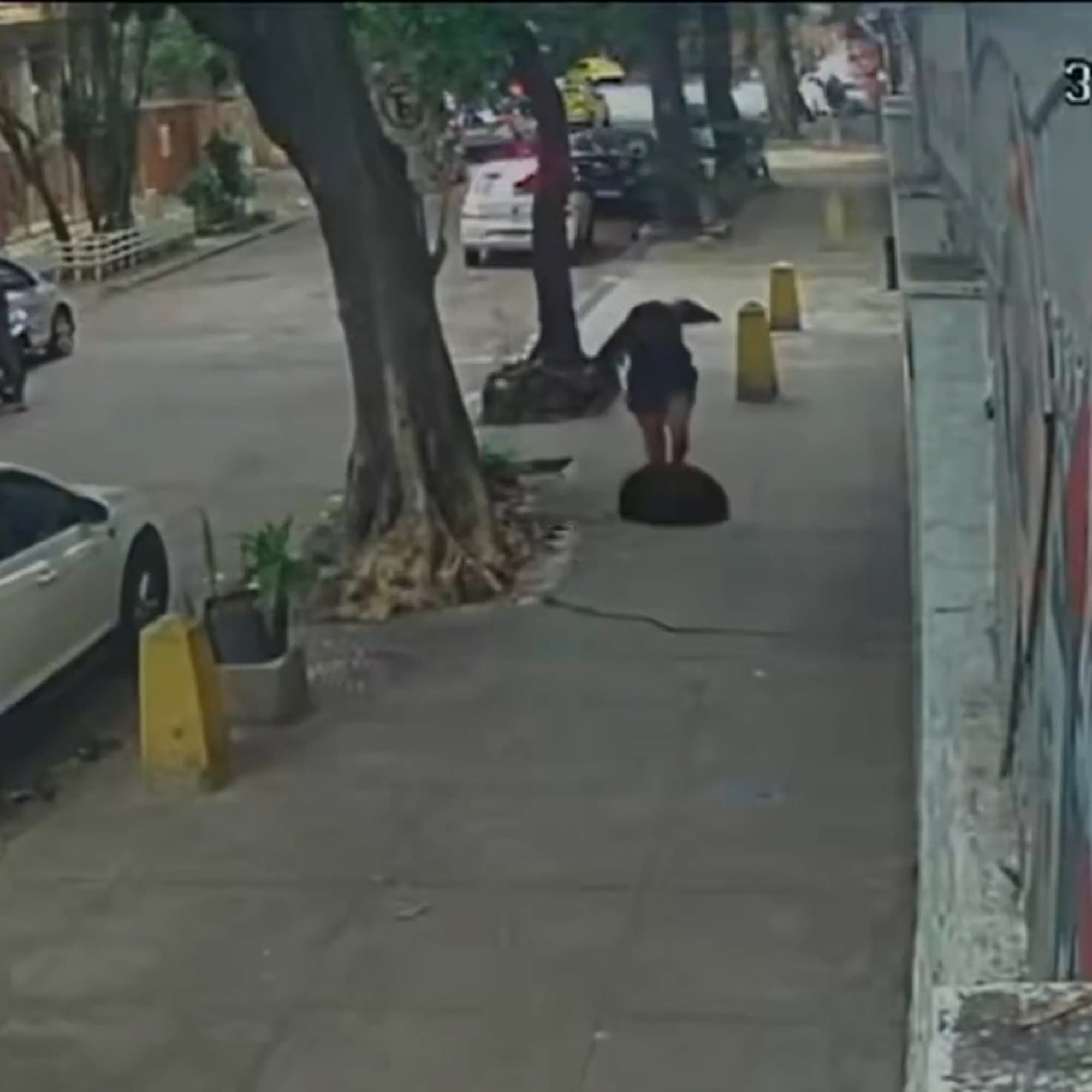 Woman Struck By Cover As She Falls Inside Open Manhole In Horror Sidewalk Plunge